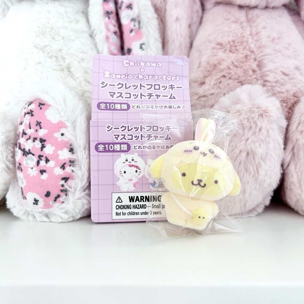 Sanrio x Nagano Chibitomo - Pompompurin